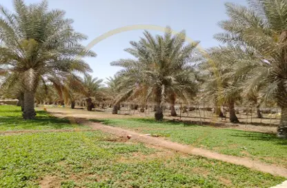 Land - Studio for sale in Al Samriya - Ash-Shahaniyah - Dukhan Highway