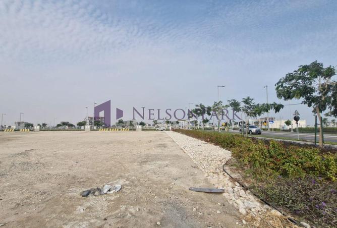 55256128 - Property Image 3