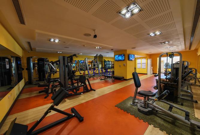 1023761 - Property Image 3