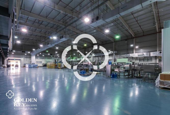 53811536 - صورة العقار 2