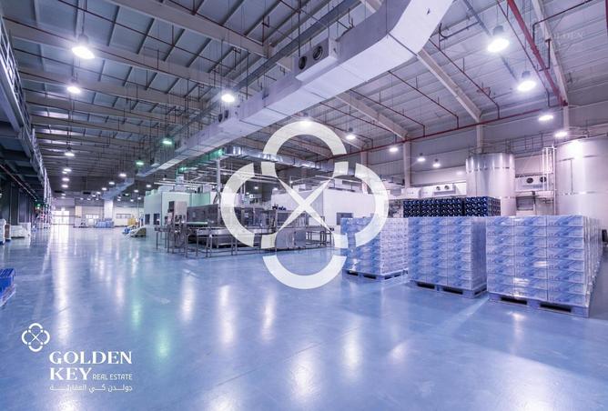 53811536 - الصورة الرئيسية للعقار