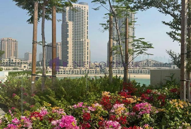 52546413 - صورة العقار 2