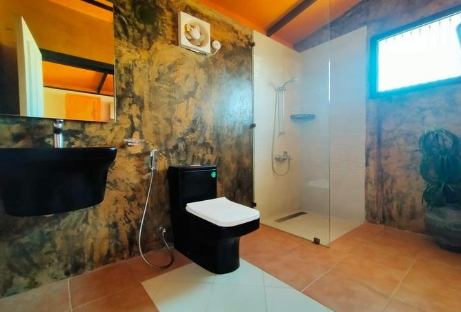 55681527 - Property Image 3