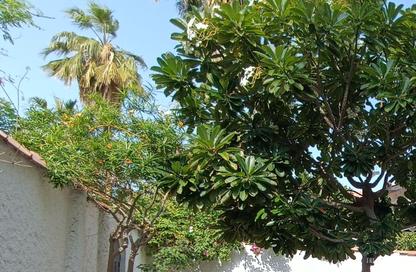 Villa - 3 Bedrooms - 3 Bathrooms for rent in Anas Street - Fereej Bin Mahmoud North - Fereej Bin Mahmoud - Doha