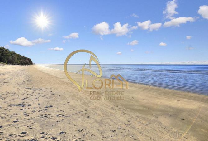 54297556 - Property Image 2