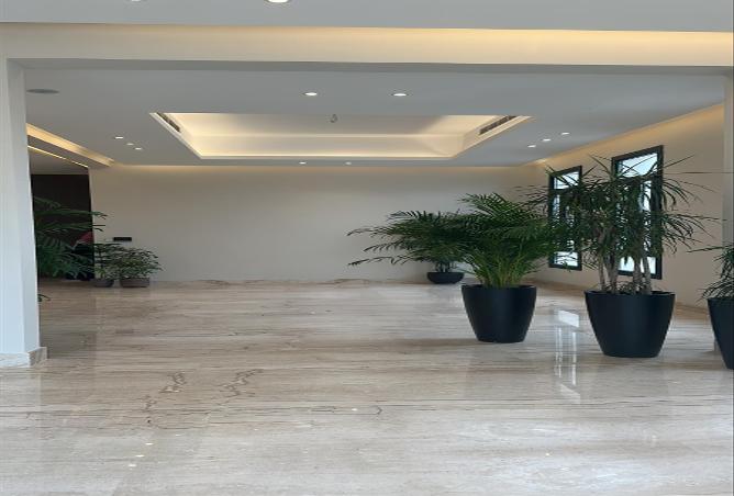 56167993 - Property Image 3