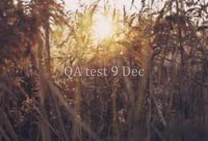 54395788 - صورة العقار 2