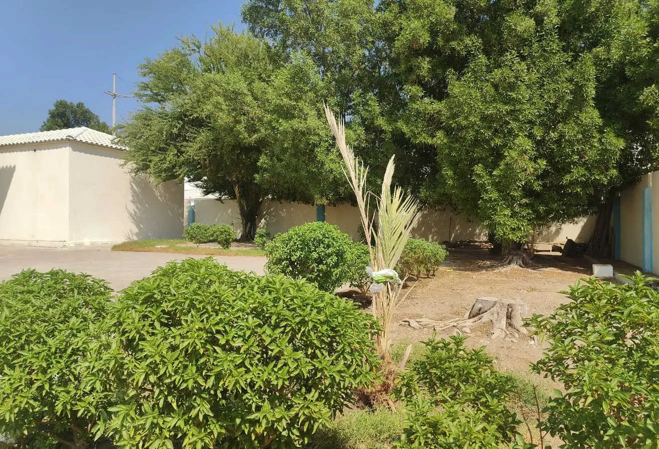 64309122 - Property Main Image