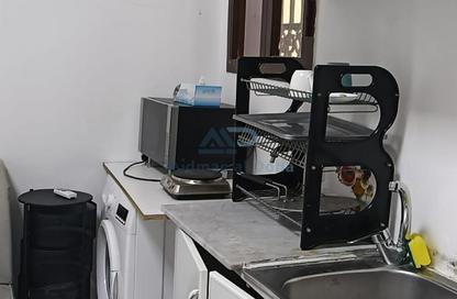 Apartment - Studio - 1 Bathroom for rent in Umm Salal Mahammad - Umm Salal City - Doha
