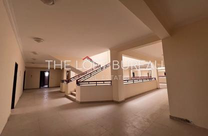 Villa - 7+ Bedrooms - 7+ Bathrooms for rent in Al Janoub Gardens Phase I - Al Janoub Gardens - Al Wukair - Al Wakra Villa - 7+ Bedrooms - 7+ Bathrooms for rent in Al Janoub Gardens Phase I - Al Janoub Gardens - Al Wukair - Al Wakra