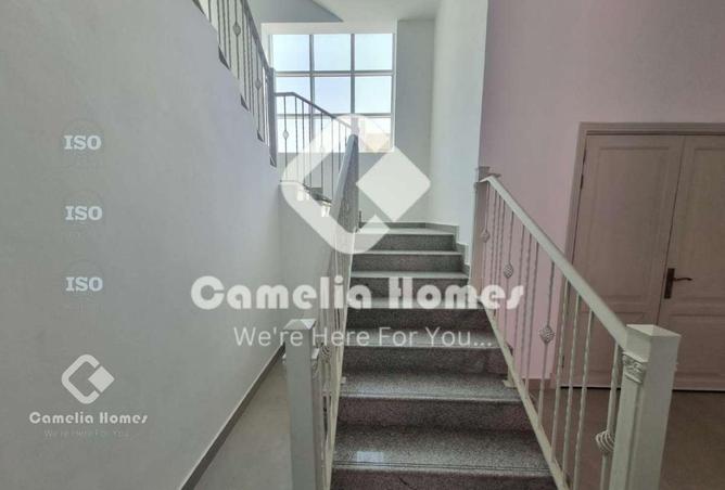 56469839 - Property Image 3