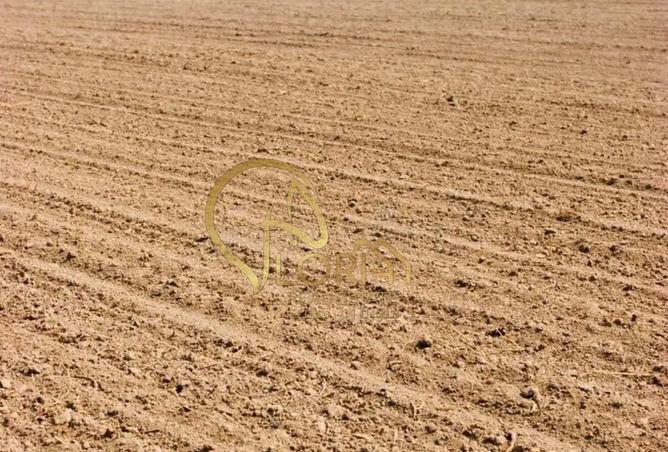 57136337 - صورة العقار 3