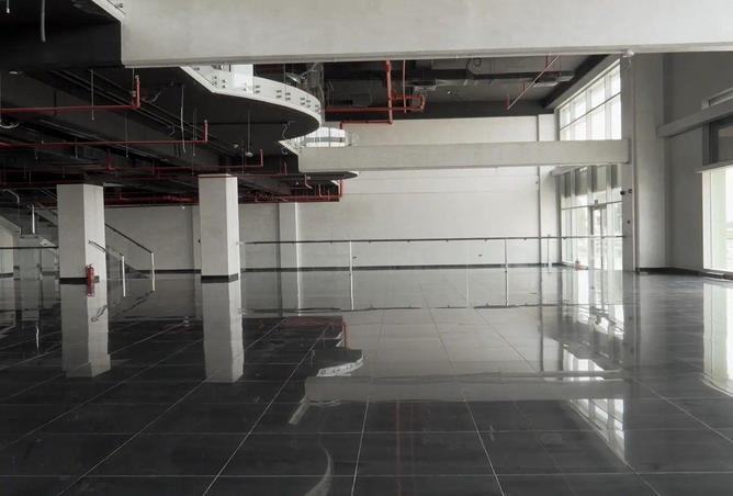 55681307 - Property Image 2