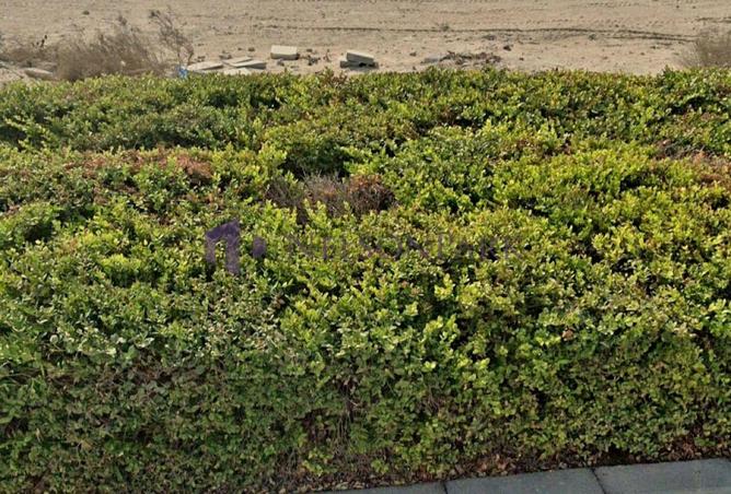 52226436 - Property Image 3