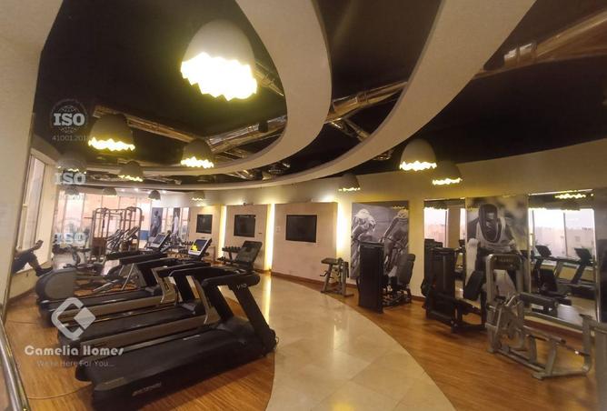 54493048 - Property Image 3