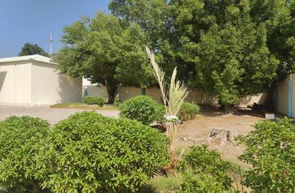 Apartment - Studio - 1 for rent in Onaiza Street - Diplomatic Area - Doha Apartment - Studio - 1 for rent in Onaiza Street - Diplomatic Area - Doha