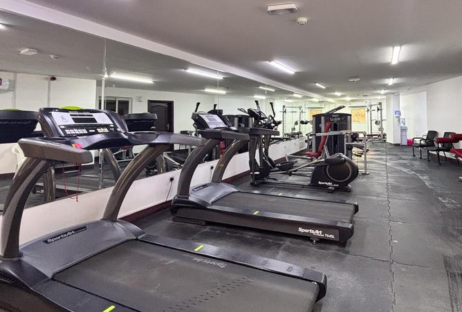 51622819 - Property Image 3