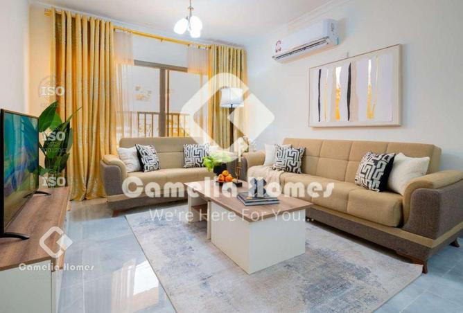 56417656 - Property Image 3