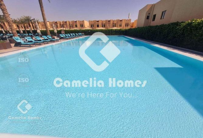 54542416 - Property Image 2