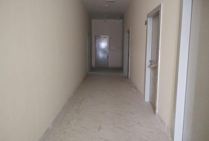 55179052 - Property Image 3