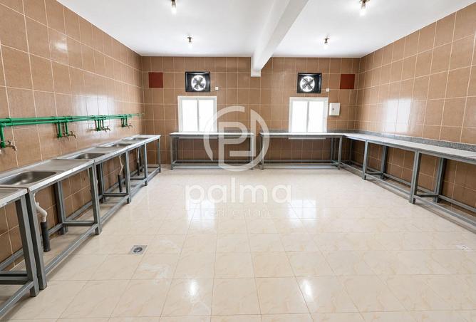 57564657 - Property Image 3