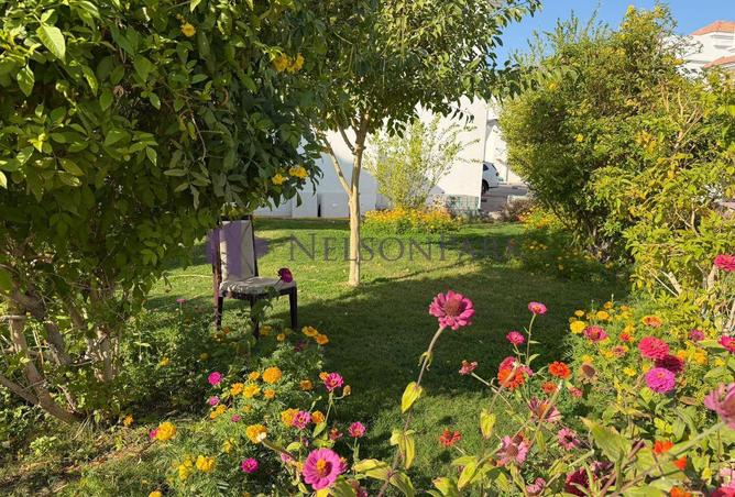 53907805 - الصورة الرئيسية للعقار