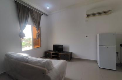 Apartment - Studio - 1 Bathroom for rent in Umm Salal Ali - Umm Salal Ali - Doha