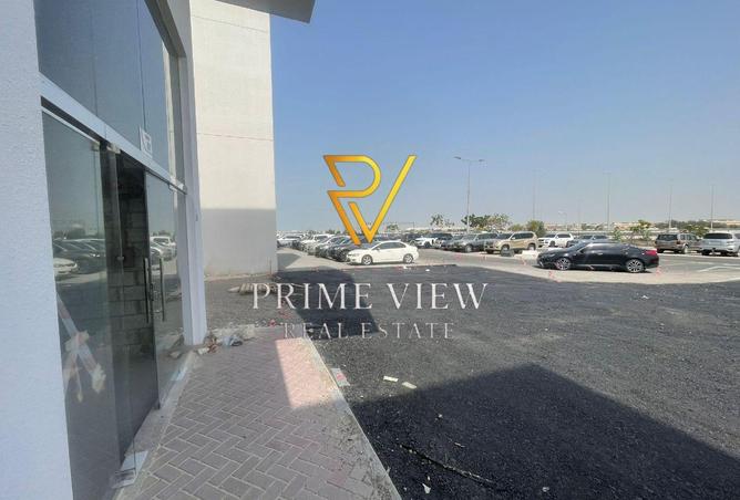 55176927 - Property Image 3