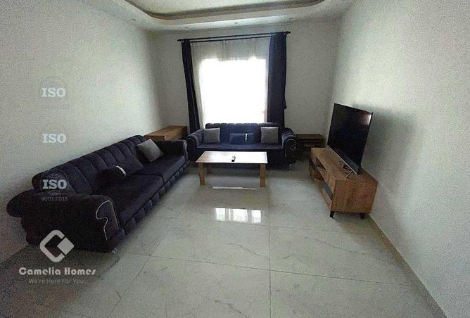 55974468 - Property Image 3