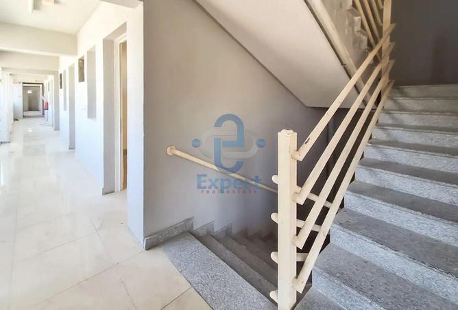 57834547 - Property Image 2