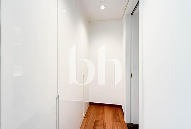 55631503 - Property Image 3