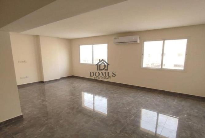 55924889 - Property Image 3
