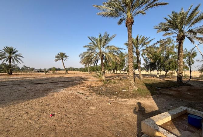 1001794 - صورة العقار 2