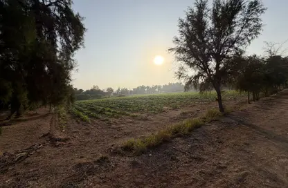 قطعة أرض - استوديو للبيع في مدينة الشمال - مدينة الشمال - الشمال