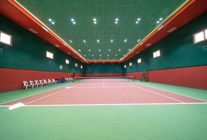 54347010 - صورة العقار 3