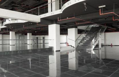 Show Room - Studio - 2 Bathrooms for rent in Umm Al Seneem - Doha