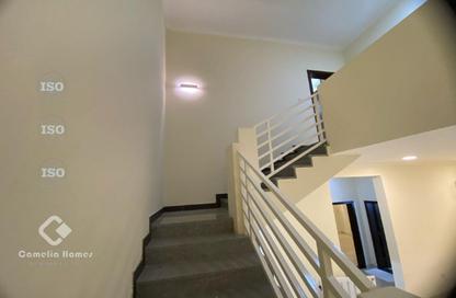 Villa - 5 Bedrooms - 6 Bathrooms for rent in New Salata - Salata - Doha