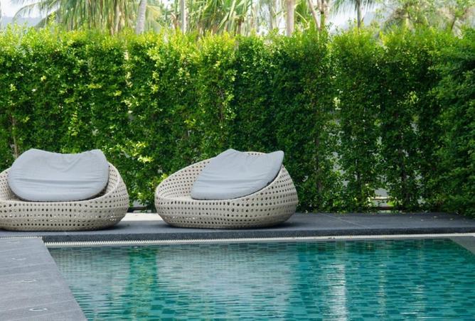 52045929 - صورة العقار 3