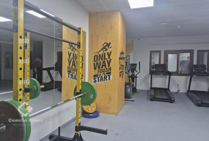 51237181 - صورة العقار 3