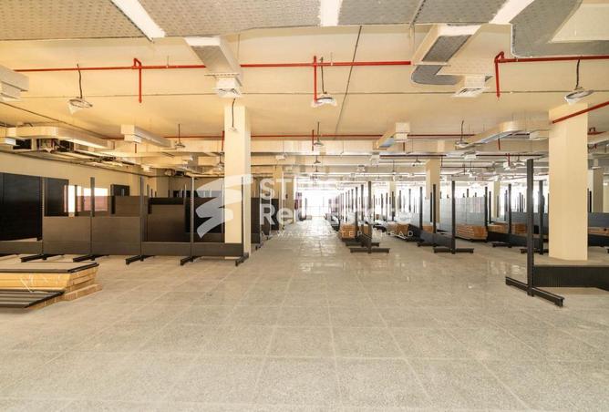 52178811 - صورة العقار 3