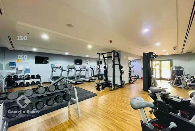 55029716 - Property Image 3