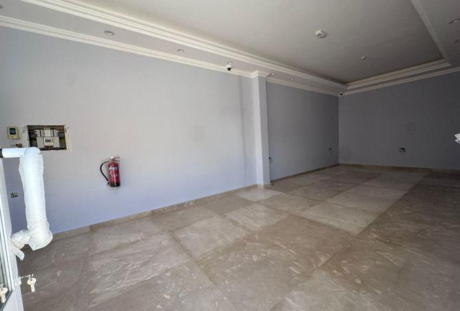 55629235 - Property Main Image