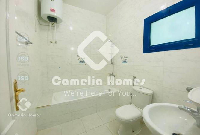 55974478 - Property Image 2