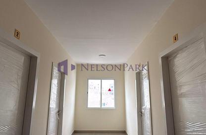 Labor Camp - Studio - 7+ Bathrooms for rent in Birkat Al Awamer - Al Wakra