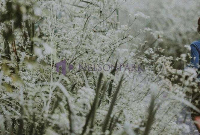 52865672 - Property Image 3