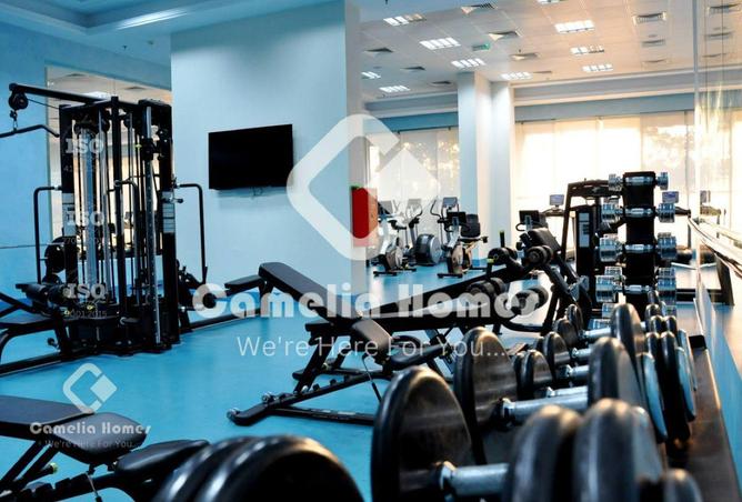 54443878 - Property Image 3