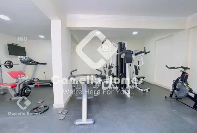 56621678 - Property Image 2