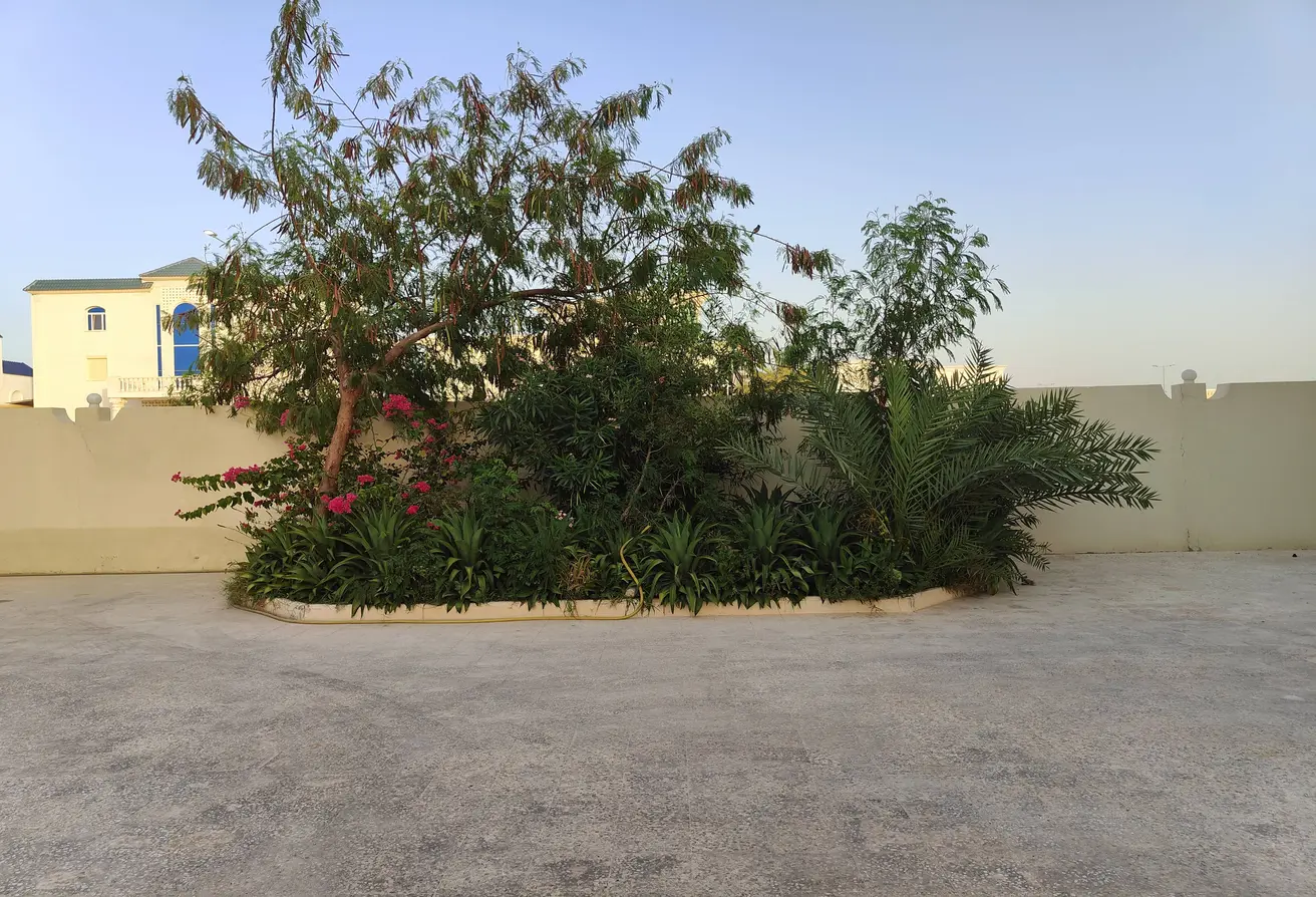 63133254 - Property Main Image