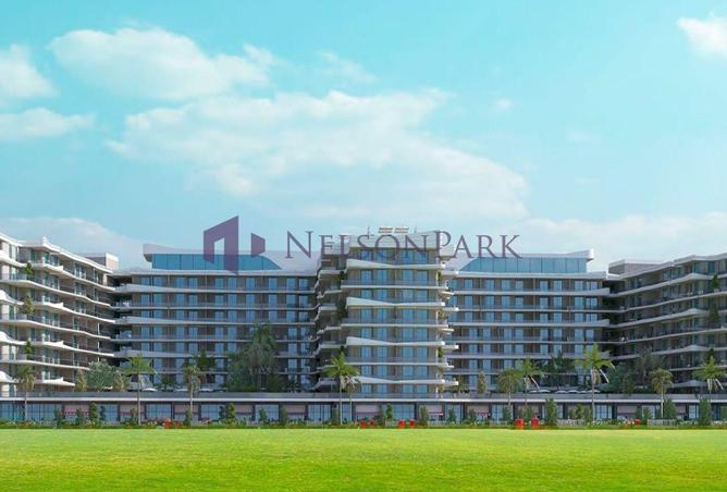 52591273 - Property Image 3