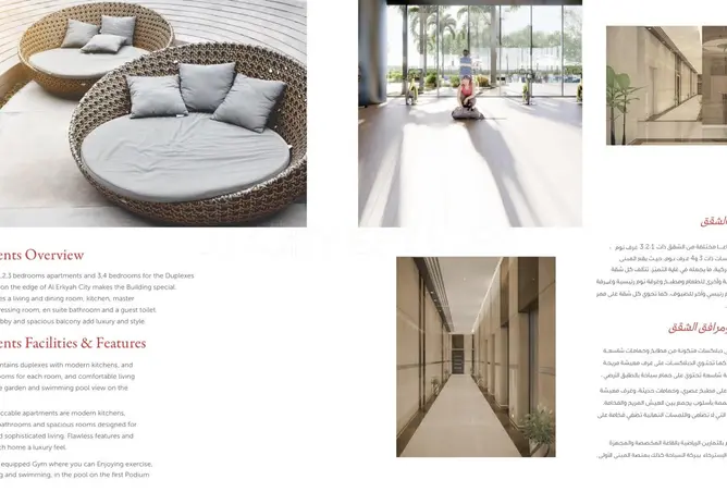 63418981 - Property Image 3